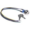 APEM Key Switch DPST, Latching, 4A Contact Current, 2 Positions, Flat Key, Zinc Alloy Housing JD9S126W