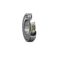 SKF Single Row Deep Groove Ball Bearing, 6 mm ID, 19 mm OD, 6 mm Width, Shielded, C3 Clearance, Non-Metallic E2.626-2Z/C3