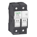 Schneider Electric 32A Rail Mount Fuse Holder, 2P, Screw Terminal, 690V AC DF102