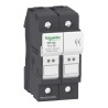 Schneider Electric 32A Rail Mount Fuse Holder, 2P, Screw Terminal, 690V AC DF102