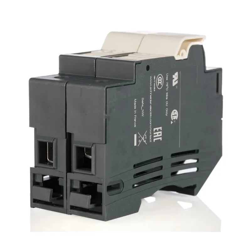 Schneider Electric 32A Rail Mount Fuse Holder, 2P, Screw Terminal, 690V AC DF102