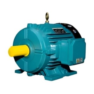 Crompton 3 HP 112M Entice Motors Image-1
