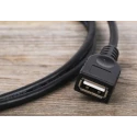 StarTech.com USB 2.0 Female USB Type A to Female USB Type A Cable, Black Polyvinyl Chloride Jacket, 914.4 mm USBEXTAA3BK