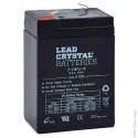 ENIX Energies Standard Sealed Lead Acid Battery 6 V 4 Ah 47.5mm x 100mm AMC9014