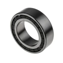 SKF Tapered Roller Bearing 45 mm ID 75 mm OD Double Row Steel Rollers Non-Metallic Cage NN 3009 KTN/SP