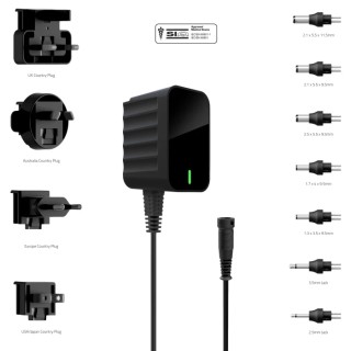 Friwo Plug Adapter Australia, EU, UK, US 24V DC 7.2W Output 300mA EDV1960971RS