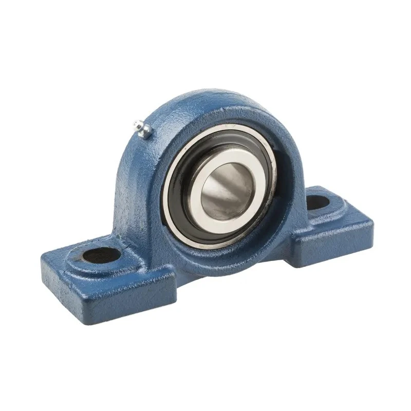 RS PRO Cast Iron Two-Bolt Medium Duty Pillow Block Bearing 30 mm ID UCPX06