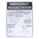 RS PRO First Aid Safety Wall Chart Plastic English 400mm x 300mm 559-568