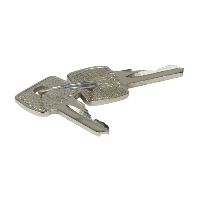 Legrand Key with 2433A Barrel 0 365 45, Set of 2 Keys, France Origin