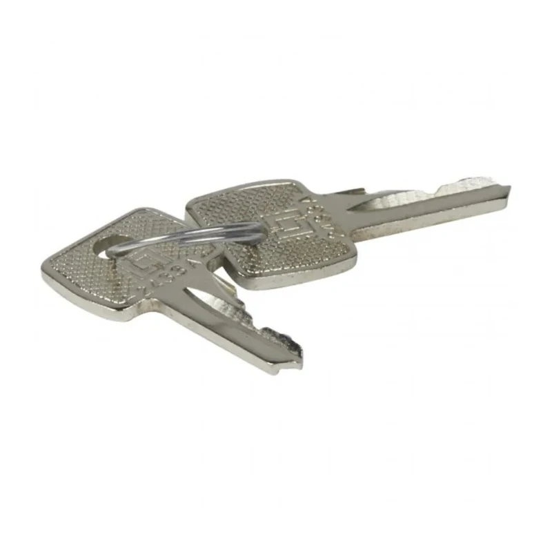 Legrand Key with 2433A Barrel 0 365 45, Set of 2 Keys, France Origin