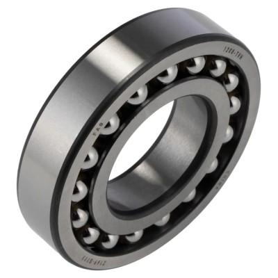 FAG Self-Aligning Ball Bearing 40 mm Inside Diameter, 80 mm Outside Diameter, 2 Row, Polyamide Cage 1208-TVH