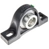 INA Plummer Block House Cast Iron, 30 mm Inside Diameter, Centre Height 42.9 mm, Mount Hole Size 22 mm, Height PASE30-XL-N