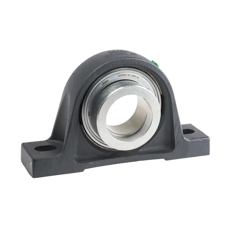 INA Plummer Block House with 50 mm Inside Diameter, Cast Iron, 115 mm Height, 200 mm Length PASE50-XL-N