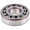 FAG Self-Aligning 2 Row Ball Bearing 25 mm ID 62 mm OD 17 mm Race Width Polyamide Cage Steel Balls 1305-TVH-C3