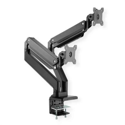 Roline Extension Arm Monitor Mount Adapter with Pivot Function, VESA 75x75 mm & 100x100 mm, 15kg Load Capacity 17.03.1117-2