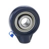 NSK-RHP Hanger Bearing 30 mm Inside Diameter Cast Iron 89 mm Outside Diameter Set Screw Locking SCH30