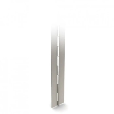 Pinet Raw 304 Stainless Steel Piano Style Hinge with Knuckle Pin Screw Fixing 2.04 m x 30 mm x 1 mm 4214197