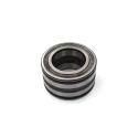 INA 65 mm Inside Diameter Sealed Roller Bearing 100 mm Outside Diameter SL045013-PP