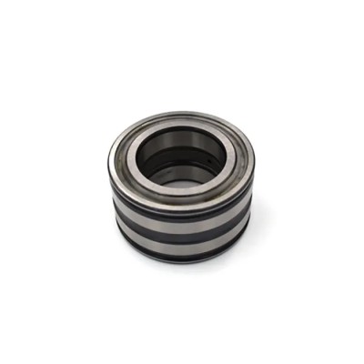 INA 65 mm Inside Diameter Sealed Roller Bearing 100 mm Outside Diameter SL045013-PP