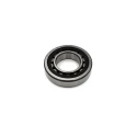INA Cylindrical Roller Bearing 65 mm ID, 120 mm OD, 23 mm Width, Plastic Cage NJ213-E-XL-TVP2