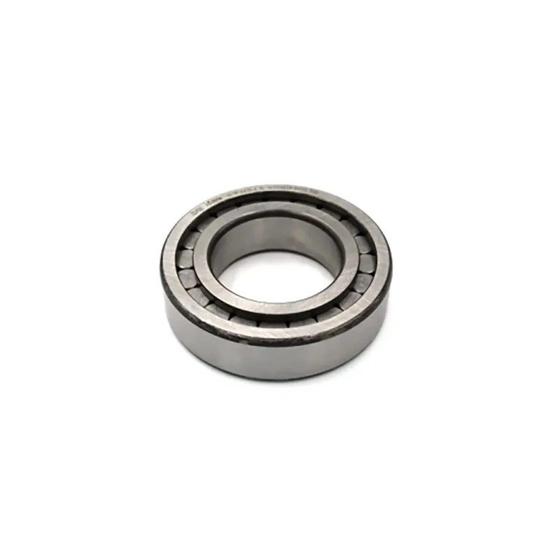 INA Roller Bearing 60 mm Inside Diameter 110 mm Outside Diameter SL182212-A-XL