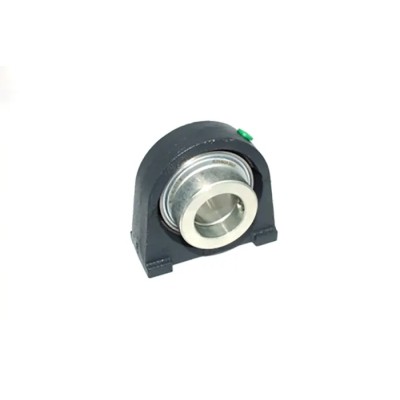 INA Cast Iron Plummer Block House 30 mm Inside Diameter RSHE30-XL-N
