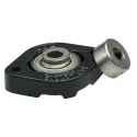 INA Flange Bearing Unit 12mm Inside Diameter Cast Iron 2 Hole Mount FLCTE12-XL