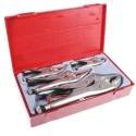 Teng Tools 5-Piece Plier Locking Plier Set TTVG05
