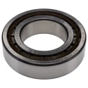 SKF Cylindrical Bore Single Row Roller Bearing 60 mm ID, 110 mm OD, 28 mm Width, Steel Rollers, Non-Metallic NJ 2212 ECP/C3