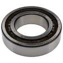 SKF Cylindrical Bore Single Row Roller Bearing 60 mm ID, 110 mm OD, 28 mm Width, Steel Rollers, Non-Metallic NJ 2212 ECP/C3