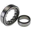 SKF Cylindrical Roller Bearing 40 mm Inside Diameter, 80 mm Outside Diameter, Shielded, 11000 rpm Limiting Speed NU 208 ECJ