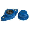 SKF Food Line Oval Flanged Ball Bearing Unit Stainless Steel 20 mm ID F2BC 20M-CPSS-DFH