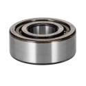 SKF Cylindrical Roller Bearing Parallel Bore 20 mm ID, 47 mm OD, 18 mm Width, Non-Metallic Cage NJ 2204 ECP