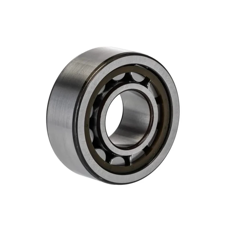 SKF Cylindrical Roller Bearing Parallel Bore 20 mm ID, 47 mm OD, 18 mm Width, Non-Metallic Cage NJ 2204 ECP