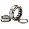 SKF Cylindrical Roller Bearing 25 mm ID, 52 mm OD, Race Width 15 mm, Non-Metallic Cage, Shielded, 16000 rpm NUP 205 ECP