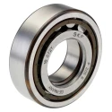 SKF Cylindrical Roller Bearing 25 mm ID, 52 mm OD, Race Width 15 mm, Non-Metallic Cage, Shielded, 16000 rpm NUP 205 ECP