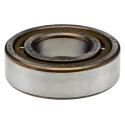 SKF Cylindrical Roller Bearing 25 mm ID, 52 mm OD, Race Width 15 mm, Non-Metallic Cage, Shielded, 16000 rpm NUP 205 ECP