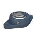 SKF Flange Bearing Unit Cast Iron 47 mm ID 2 Mount Holes FYTB 504 M