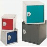 RS PRO 1 Door Red Steel Locker with Antibacterial Coating 457 mm x 457 mm x 457 mm 239-4818