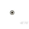TE Connectivity SPE Unterminated Ethernet Cable 500 mm Black Thermoplastic TB1141D4722-001