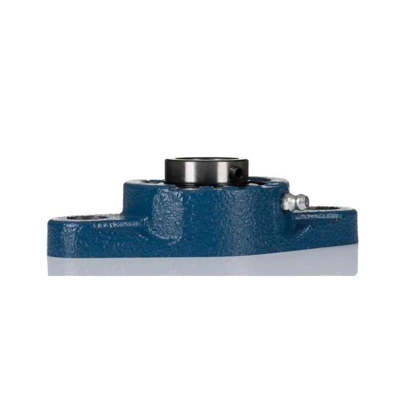 RS PRO Cast Iron 2 Hole Flanged Bearing Unit 25 mm Inside Diameter UCFL205