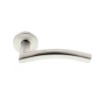 Briton Stainless Steel Curved Mitred Sprung Rose Door Lever Handle Silver Finish 4205.19.SS