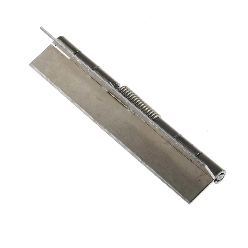 Pinet Raw Steel Spring Hinge 120 mm x 40 mm x 1.5 mm 71-1-3799
