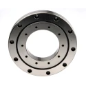 IKO Nippon Thompson Slewing Ring Steel Bearing with 80 mm Inside Diameter and 165 mm Outer Diameter CRBFV8022ATUUC1