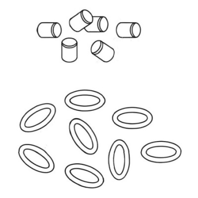 Packing For Plain Columns for lab image-1