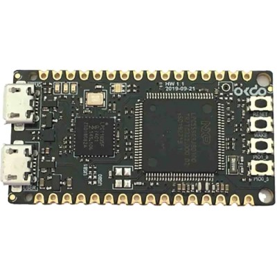 Okdo E1 Ultra-Low-Cost Evaluation Board Based on NXP LPC55S69 Dual-Core Cortex M33 Microcontroller OKLPC5569R0-EVB