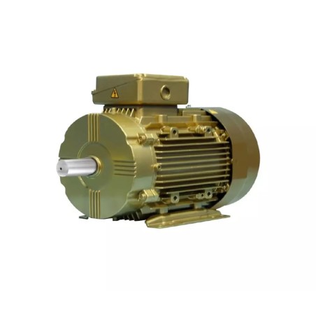 Buy Crompton TEFC 1 HP 4 Pole Motor NS80 at Best Price