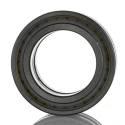 SKF Cylindrical Roller Bearing Double Row 50 mm Inside Diameter 80 mm Outside Diameter 40 mm Race Width NNF 5010 ADB-2LSV
