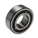 SKF Cylindrical Roller Bearing 30 mm Inside Diameter 62 mm Outside Diameter 20 mm Race Width Open End NJ 2206 ECP