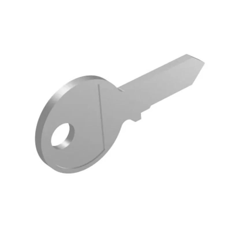 EAO Key Switch Key for 04 Series 704.989.251